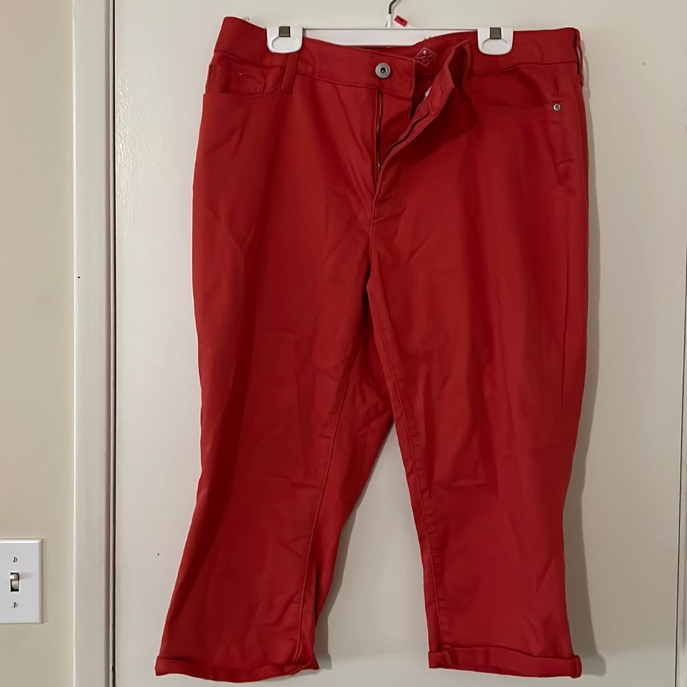 Pumpkin spice capris, ladies brushed cotton pants, 18W
